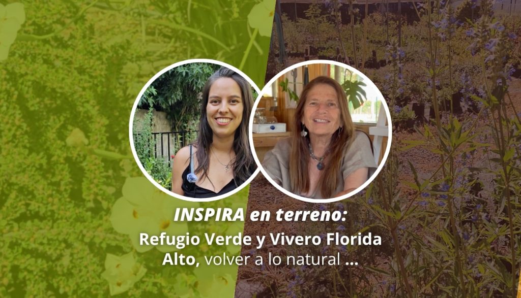 INSPIRA en terreno: Refugio Verde y Vivero Florida Alto, volver a lo natural