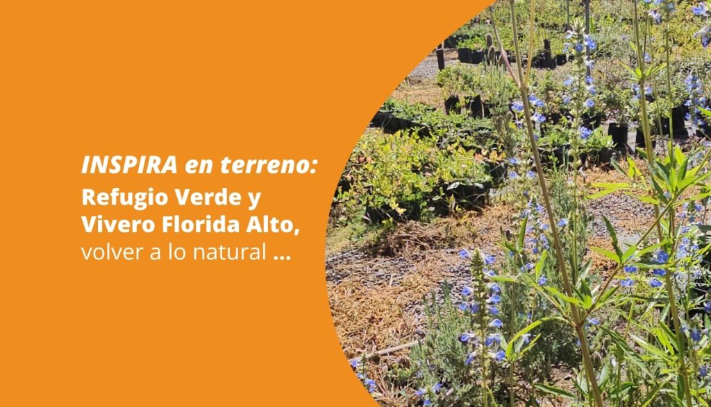 INSPIRA en terreno: Refugio Verde y Vivero Florida Alto, volver a lo natural